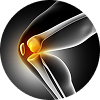 knee