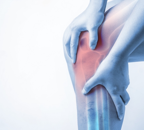 ACL Reconstruction
