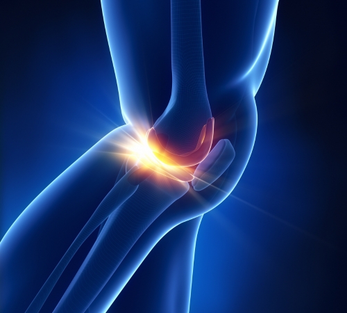 Meniscus Repair