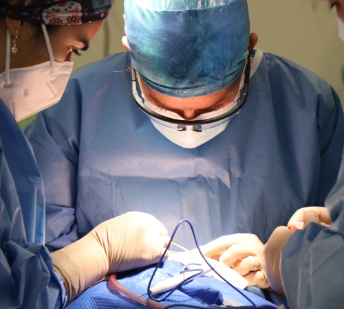 Wrist Plate Surgery