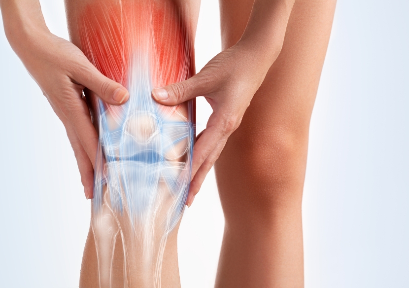 Knee Joint Pain